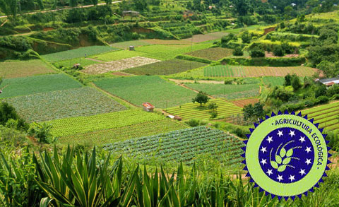 El Senado aprueba mejorar las condiciones y promocionar la agricultura ecológica