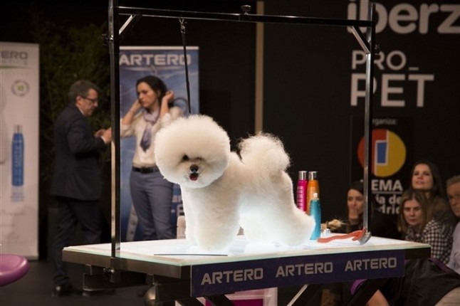 Pasarela Boutique de Iberzoo+Propet 2018