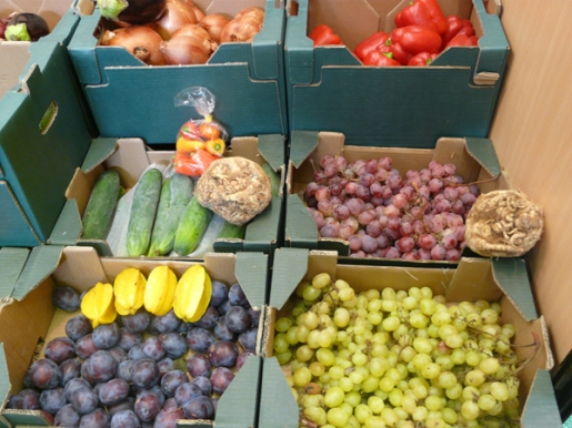 BIOERBERA Frutas y verduras con imagen...