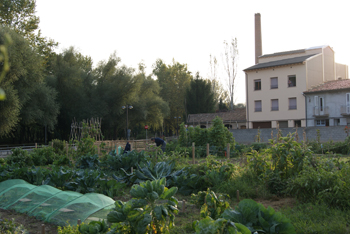 El Ayuntamiento de Sabadell prepara una ordenanza para regular los huertos urbanos de la ciudad