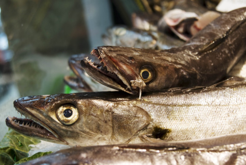 El crimen perfecto oculto en el pescado
