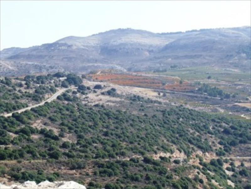 Israel impulsa la transición a métodos de cultivo ecológico