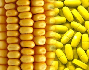 El Gobierno defiende a ‘ultranza’ el consumo y cultivo de maíz transgénico