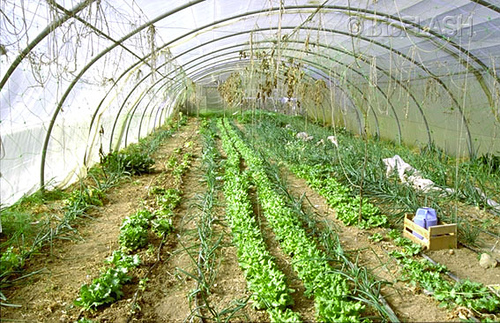 Evolución de productos ecológicos en Ecotalavera 2009