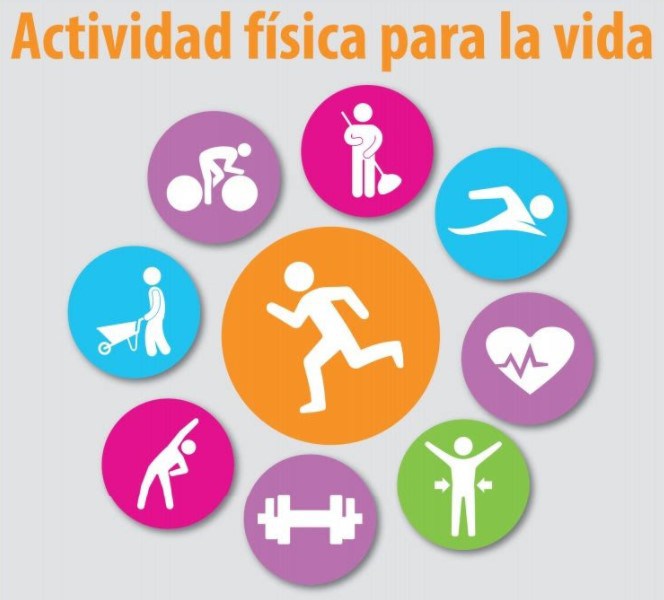 Fisioterapeutas reivindican la importancia de la actividad física para una vida saludable
