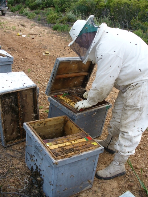 #SemanaAntitransgénica/ Díaz: Estamos en las garras de las multinacionales