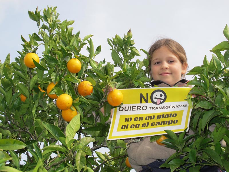 La sociedad se moviliza para poner fin a los transgénicos en nuestros campos y en nuestros platos