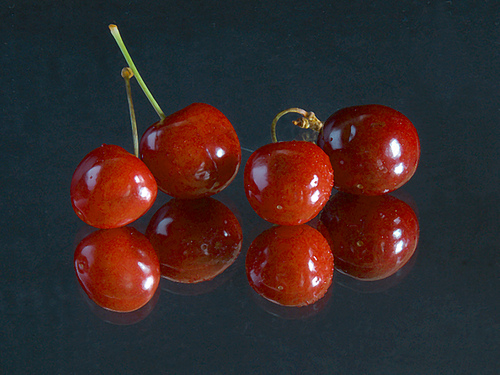 Empresas ecológicas andaluzas muestran su oferta a importadores británicos