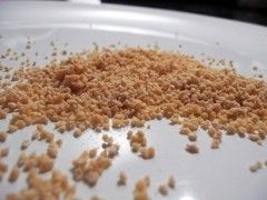 Últimas revisiones de las propiedades de la lecitina de soja