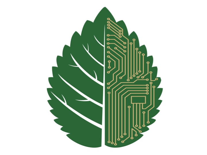 Tecnologías verdes que sorprenden gratamente