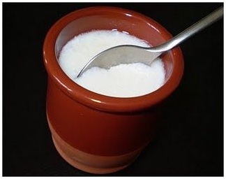 ‘Recetas Ecológicas’: cuajada artesana (vea el video)