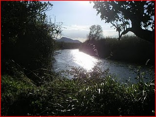 Medio Ambiente adjudica por 883.685 euros la explotación de la red biológica de control de calidad de aguas del Júcar