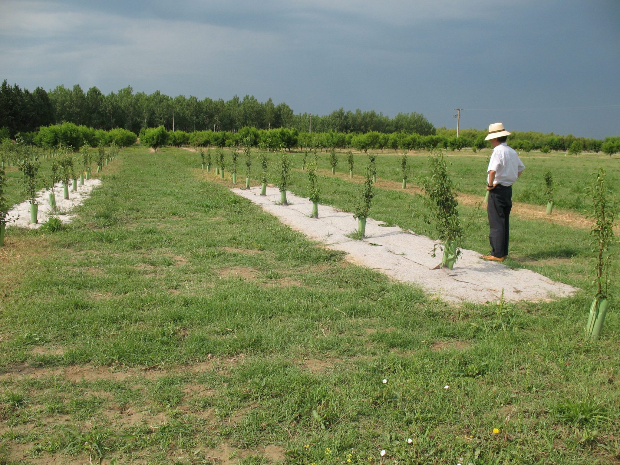El Departamento de Ciencia