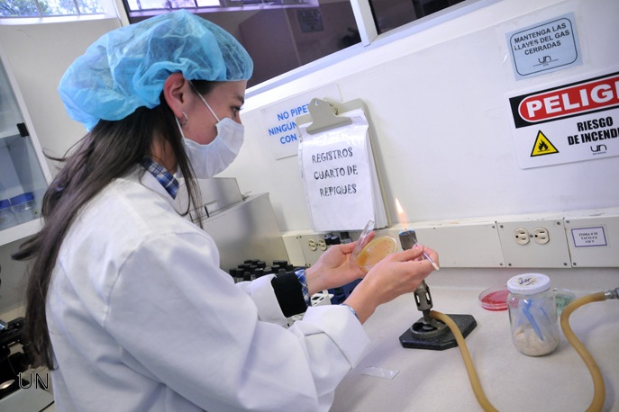 Alternativa 100% natural para conservar carne