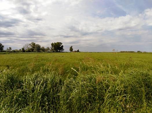 Riet Vell: Algo más que agricultura ecológica