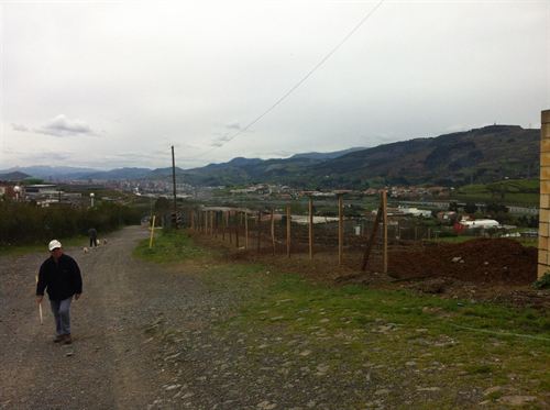 El Ayuntamiento de Santurtzi (Bizkaia) pone a disposición de sus vecinos 24 huertos urbanos