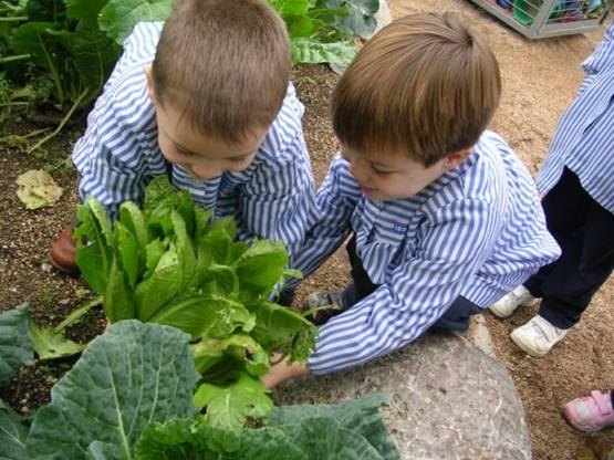 Los Monegros y  los Huertos Escolares Ecológicos