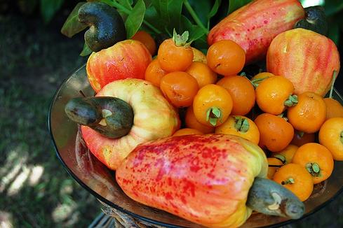 Alimentos ecológicos: sí merece la pena pagar más