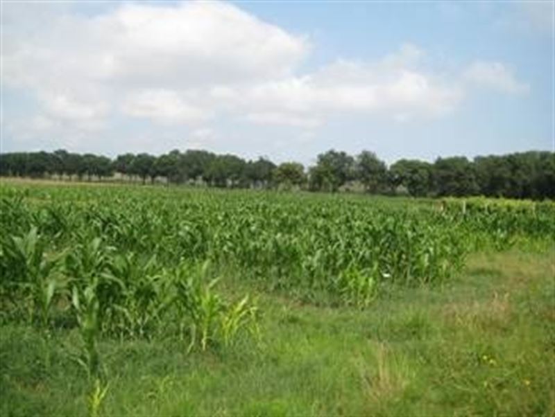 El Gobierno de La Rioja aprueba ayudas agroambientales por valor de 4.700.000 €