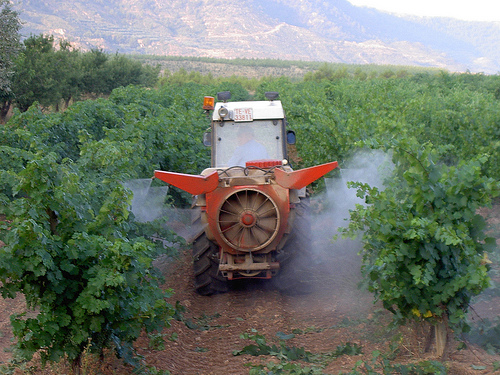 Desarrollado un nuevo fertilizante