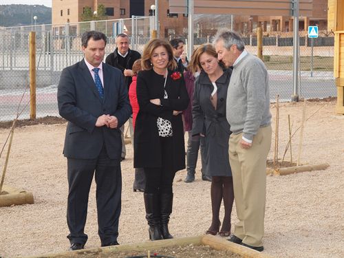Ayuntamiento de Madrid planea crear pequeños huertos en la ciudad para que los cultiven jubilados en su tiempo de ocio