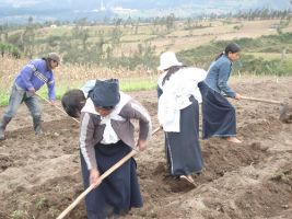 Cómo practicar la soberanía alimentaria
