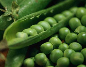 Murcia quiere ser la ‘Huerta ecológica de Europa’