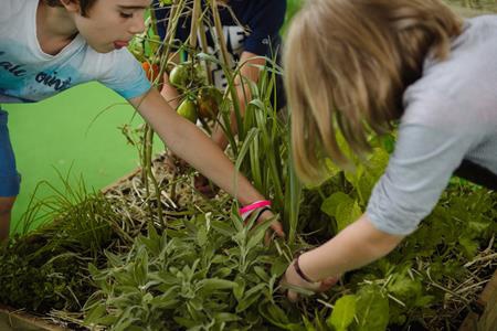 Huertos Educativos Ecológicos Los premiados de este año