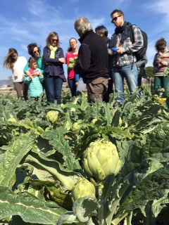 Alimentos Km0 y Bio en Catalunya