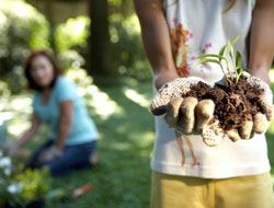 Jardín con productos naturales