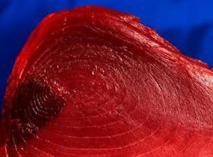 Fraude masivo al consumidor en el comercio de atún rojo