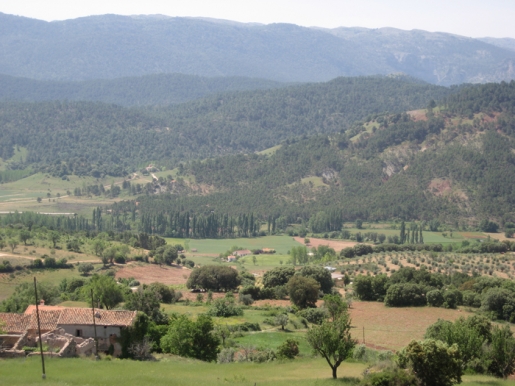 BIOCULTURA Cultivos para mejorar el suelo