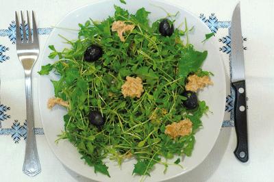 Alimentos Silvestres: la despensa más natural y nutritiva