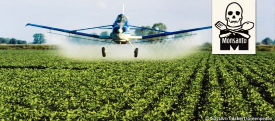 ¡Rechazar a Monsanto!