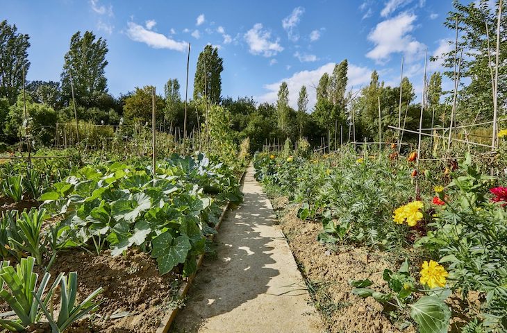 Sorteo de parcelas ecológicas en Urarte
