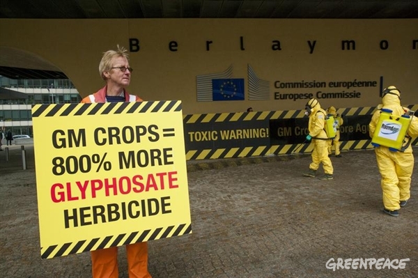 Transgénicos en la UE ‘NO’