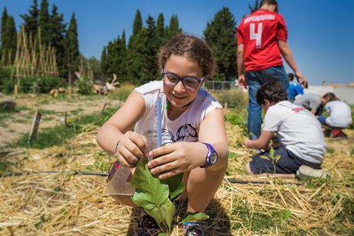 Nueva edición de los ‘Premios Huertos Educativos Ecológicos’