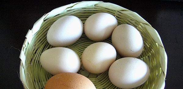 Por qué hay plaguicidas en los huevos que comemos