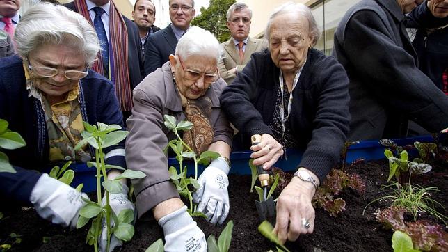 Madrid fomenta la actividad medioambiental en residencias de mayores con más huertos terapéuticos