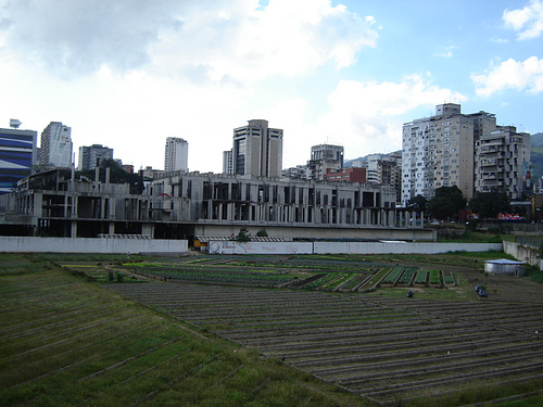 Biodiversidad en la ciudad: la agricultura urbana en Bélgica