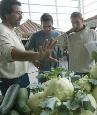Los expertos destacan el valor terapéutico de algunos alimentos ecológicos contra el cáncer