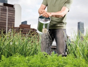 Las ciudades del futuro necesitan huertos urbanos