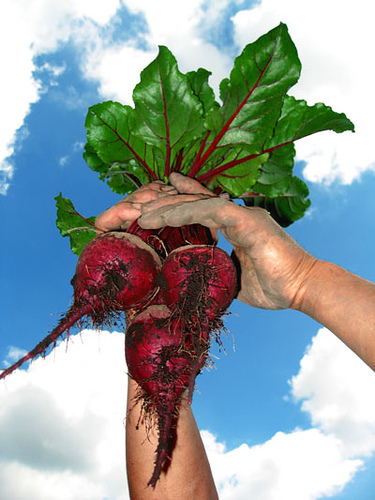 Los productores de alimentos ecológicos demandan fortalecer el mercado