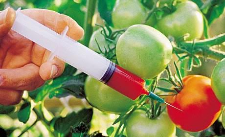 Diecinueve países europeos consiguen luz verde para prohibir o restringir el cultivo de transgénicos