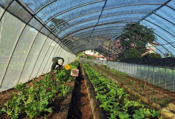 STOP a la agricultura climáticamente inteligente