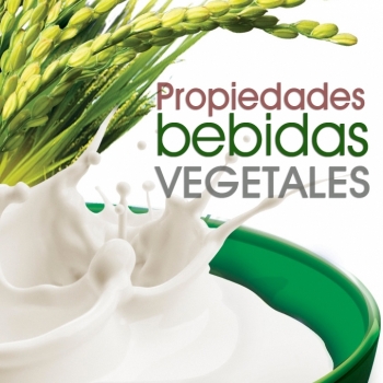 Las bebidas vegetales y sus beneficios para la salud