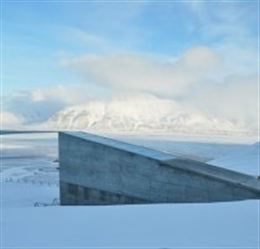 Un búnker noruego guarda para evitar su desaparición un duplicado de semillas de todos los alimentos del mundo