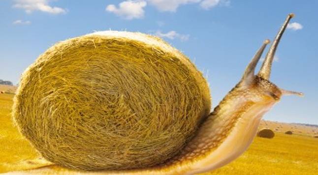 Ferias ‘bio’ de España