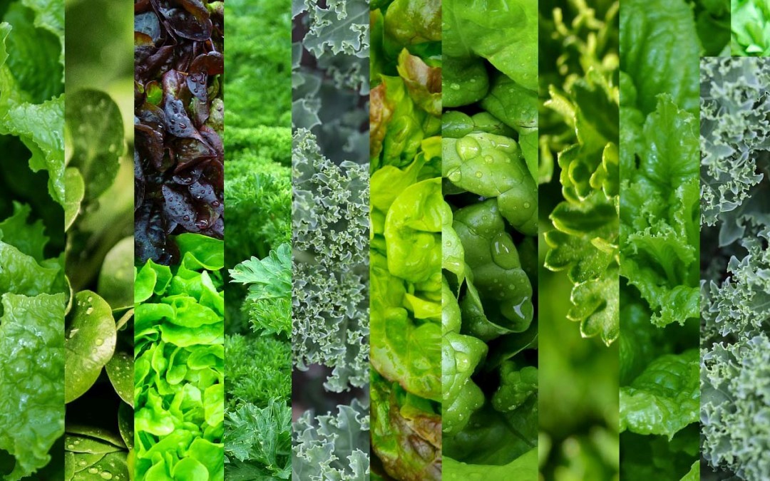 La luteína puede contrarrestar el envejecimiento cognitivo