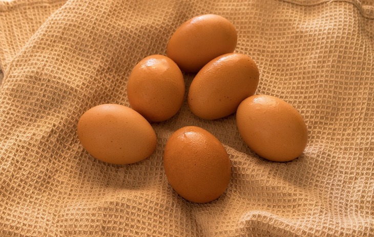 Comer huevos camperos ayuda al medio ambiente